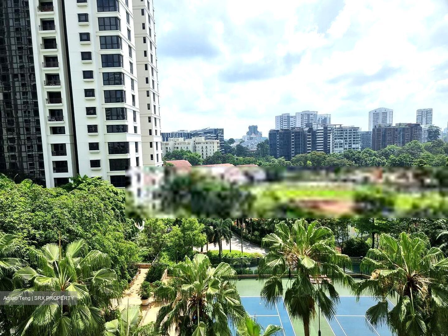 Ardmore Park (D10), Condominium #569145071
